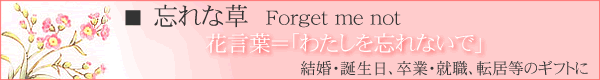 【忘れな草】結婚・誕生日、卒業・就職、転居等のギフトに。