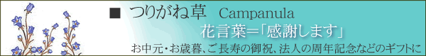 【つりがね草】お中元・お歳暮、ご長寿のお祝い、法人の周年記念などのギフトに